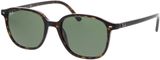 Picture of glasses model Ray-Ban Leonard RB2193 902/31 53-18