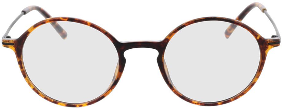 Picture of glasses model Lojo - havanna in angle 0