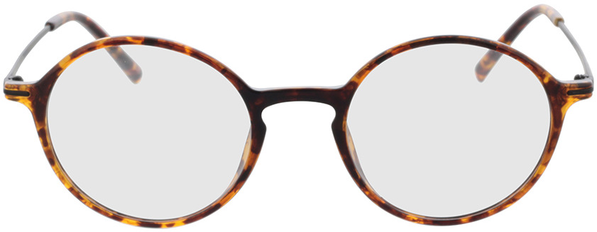 Picture of glasses model Lojo-havana in angle 0