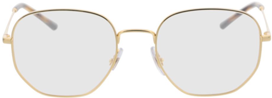 Picture of glasses model RX3682V 2500 51-19 in angle 0