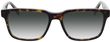 Product with lens tinting