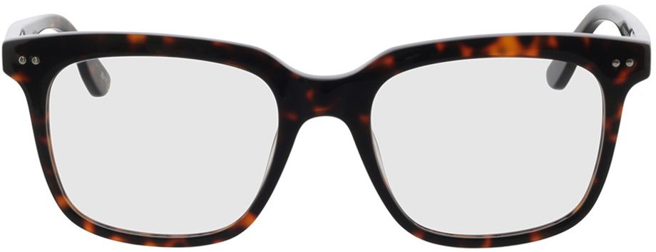 Picture of glasses model Dixon - havanna in angle 0