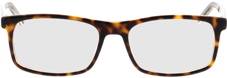 Picture of glasses model Hugo HG 1004 KRZ 54-17 in angle 0