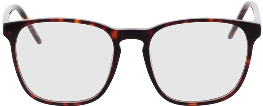 Picture of glasses model Malmö - havanna in angle 0