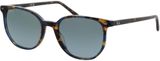 Picture of glasses model Ray-Ban Elliot RB2197 13563M 52-19