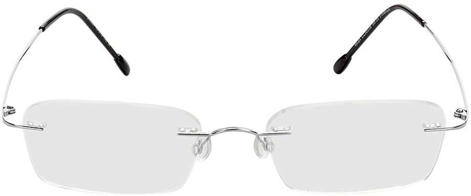 Picture of glasses model Davos - silver in angle 0