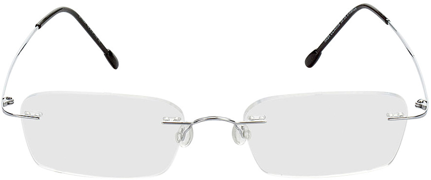Picture of glasses model Davos - silber in angle 0