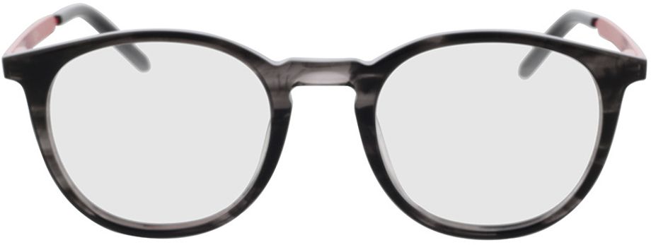 Picture of glasses model HG 1017 PZH 49-21 in angle 0