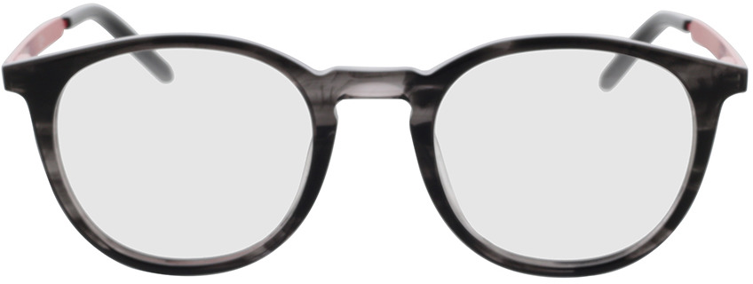 Picture of glasses model Hugo HG 1017 PZH 49-21 in angle 0