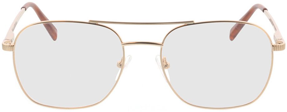 Picture of glasses model Metropolis-mate dourado in angle 0