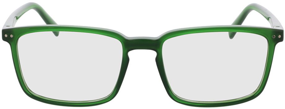 Picture of glasses model Salix - grün-transparent in angle 0