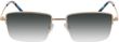 Product with lens tinting