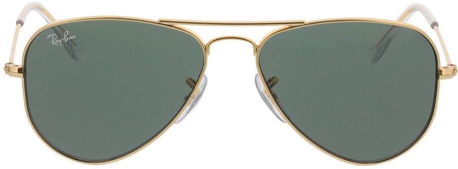 Picture of glasses model Ray-Ban Junior Aviator RJ9506S 223/71 52-14 in angle 0