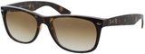 Picture of glasses model Ray-Ban New Wayfarer RB2132 710/51 58-18