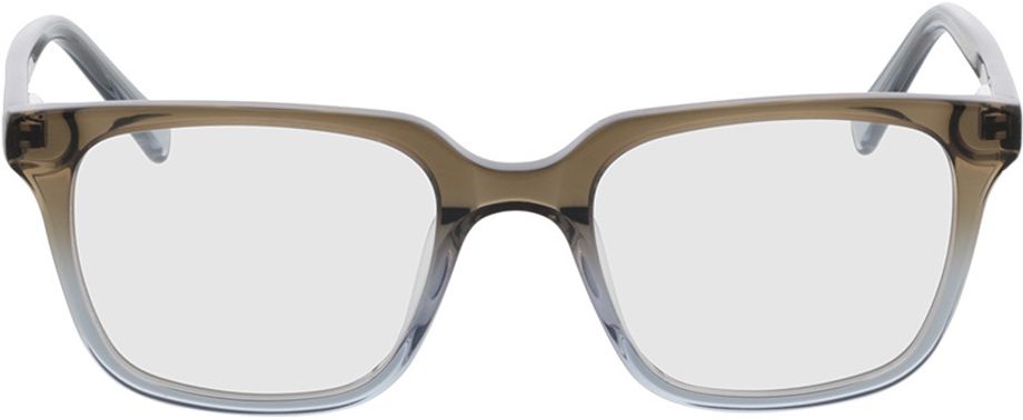 Picture of glasses model Riga-brown/grey in angle 0