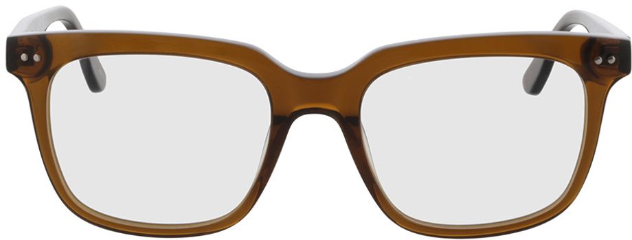 Picture of glasses model Dixon - braun-transparent in angle 0