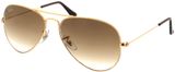 Picture of glasses model Ray-Ban Aviator RB3025 001/51 55 14