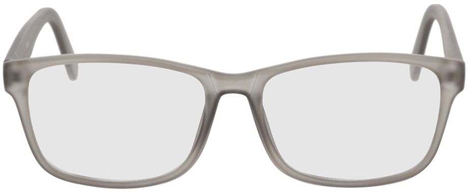 Picture of glasses model Nitro grey transparent in angle 0
