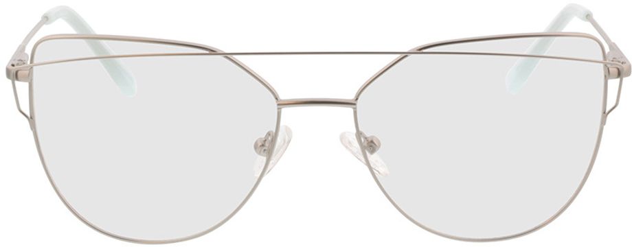 Picture of glasses model Calida-matt silber in angle 0