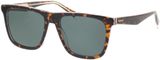Picture of glasses model PLD 2102/S/X KRZ 55-17
