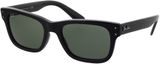 Picture of glasses model Ray-Ban RB2283 901/31 55-20