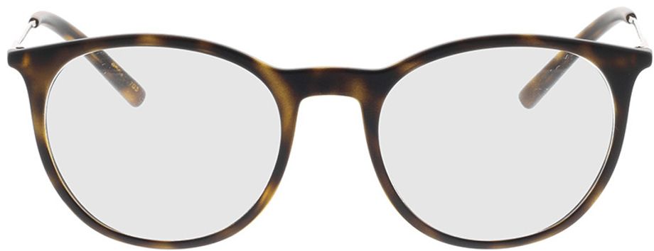 Picture of glasses model DG5031 1935 51-19 in angle 0