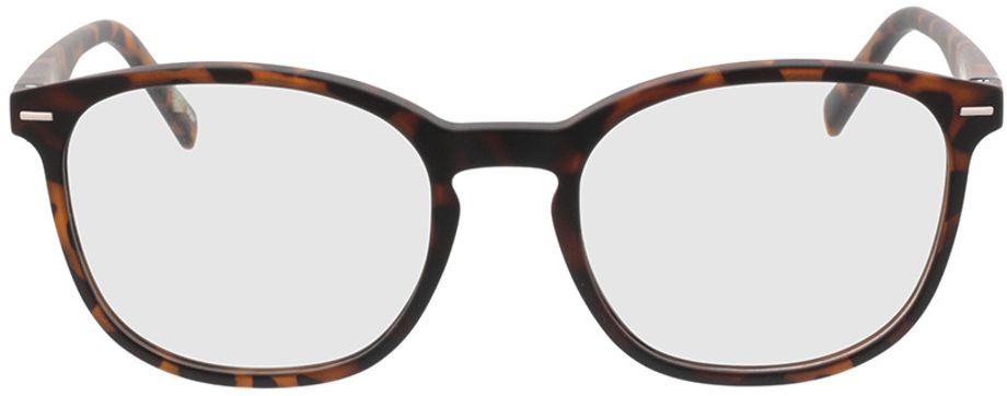Picture of glasses model Olea-braun-meliert in angle 0