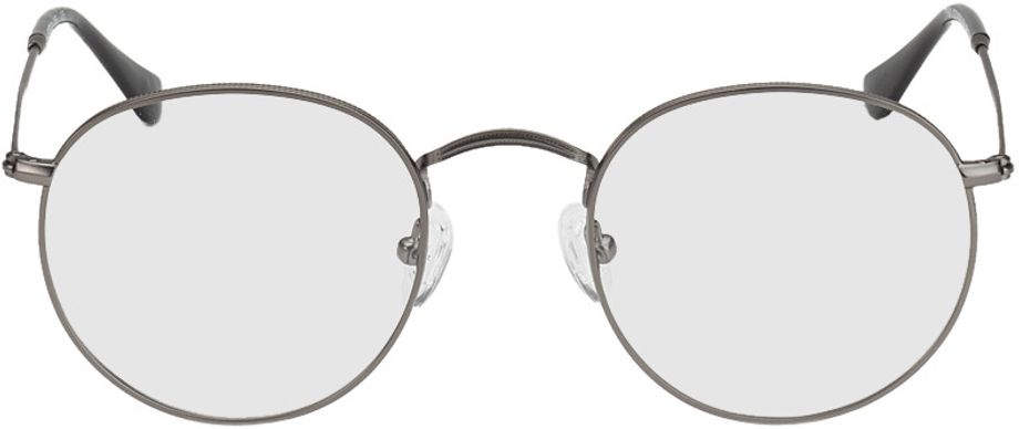 Picture of glasses model Leipzig matte/silver in angle 0