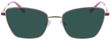 Product with lens tinting