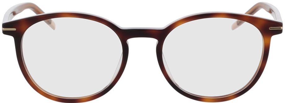 Picture of glasses model Hugo HG 1175 086 49-17 in angle 0