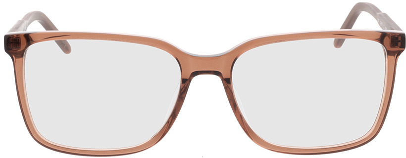 Picture of glasses model Fullerton-braun-transparent in angle 0