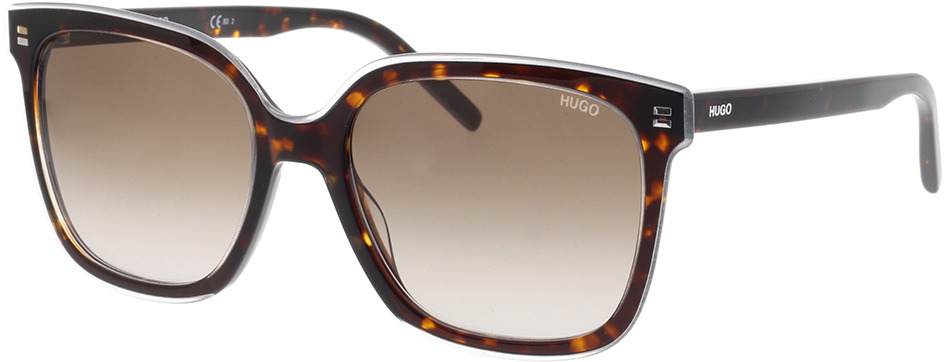 Picture of glasses model Hugo HG 1051/S AIO 54-18
