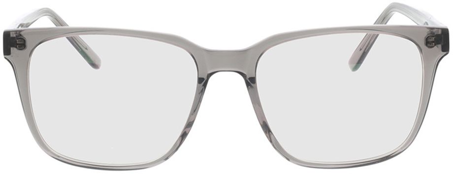 Picture of glasses model Woodstock-gris-transparent in angle 0