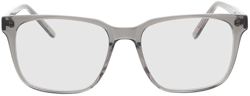 Picture of glasses model Woodstock grey/transparent in angle 0