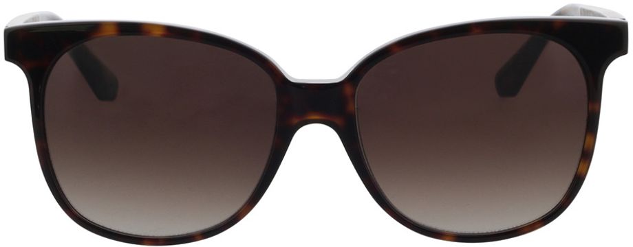 Picture of glasses model Sunglasses Aspect black oak/havana 55-17 in angle 0