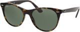 Picture of glasses model Ray-Ban RB2185 902/31 55-18
