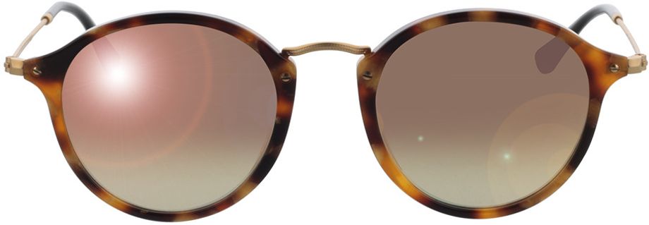 Picture of glasses model Ray-Ban Round Fleck RB2447 11607O 49-21 in angle 0