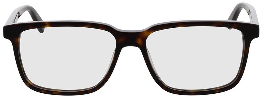Picture of glasses model SL 458-002 56-15 in angle 0