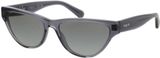 Picture of glasses model VO5513S 304511 55-16