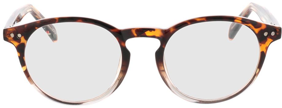 Picture of glasses model Delion-castanho-mosqueado/transparente in angle 0