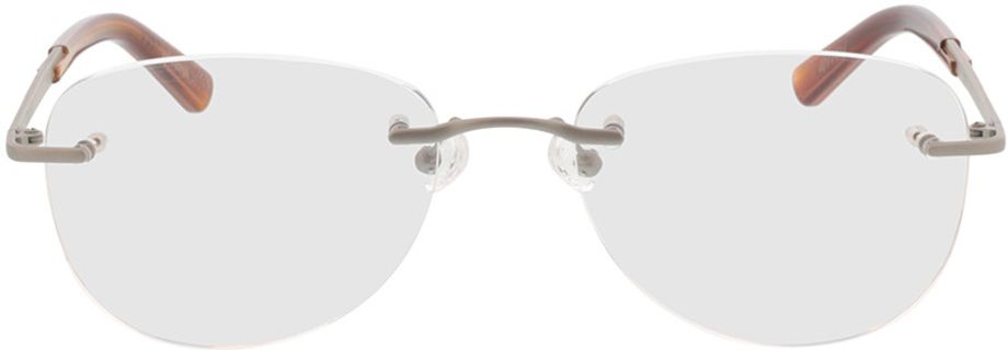 Picture of glasses model Geroli - silber in angle 0