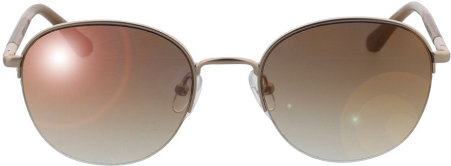 Picture of glasses model Wood Fellas Sunglasses Horizon macassar/gold 52-20 in angle 0