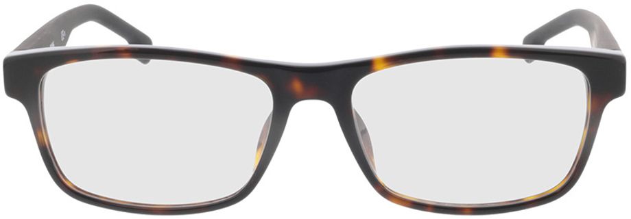 Picture of glasses model BOSS 1041 086 55-17 in angle 0