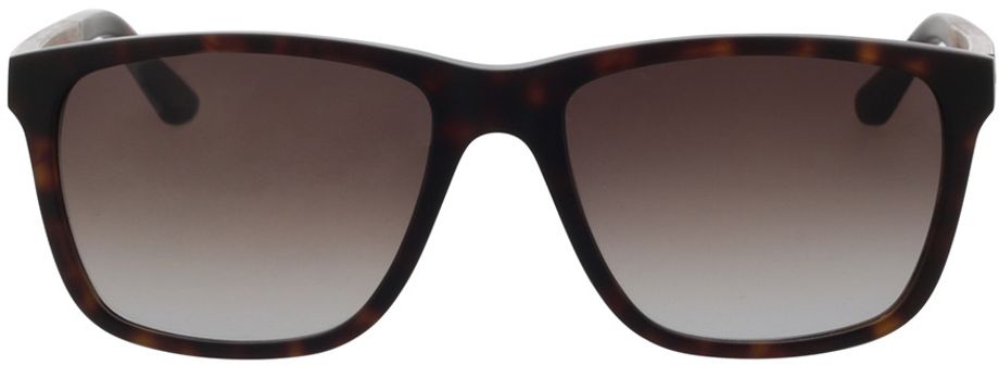 Picture of glasses model Wood Fellas Sunglasses Focus curled/havana 56-18 in angle 0