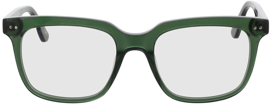 Picture of glasses model Dixon - grün-transparent in angle 0