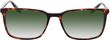 Product with lens tinting