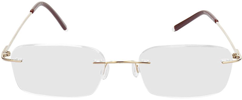 Picture of glasses model Salinas gold in angle 0