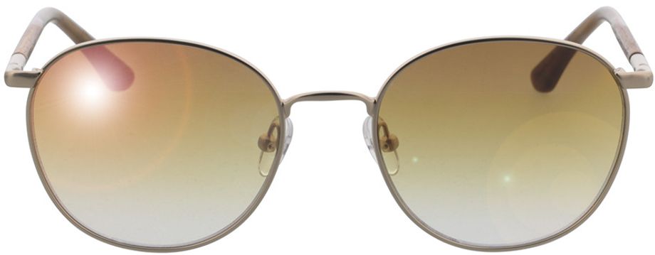 Picture of glasses model Sunglasses Hub macassar/gold 53-19 in angle 0