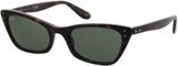 Picture of glasses model Ray-Ban Lady Burbank RB2299 902/31 52-20