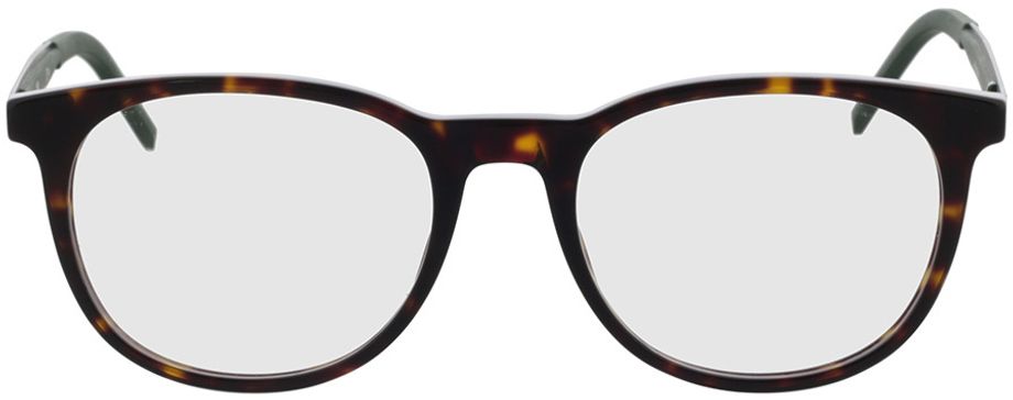 Picture of glasses model Hugo HG 1141 086 54-19 in angle 0